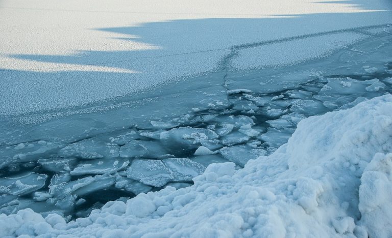 Znanstvenici pronašli nove oblike života na Antarktici?