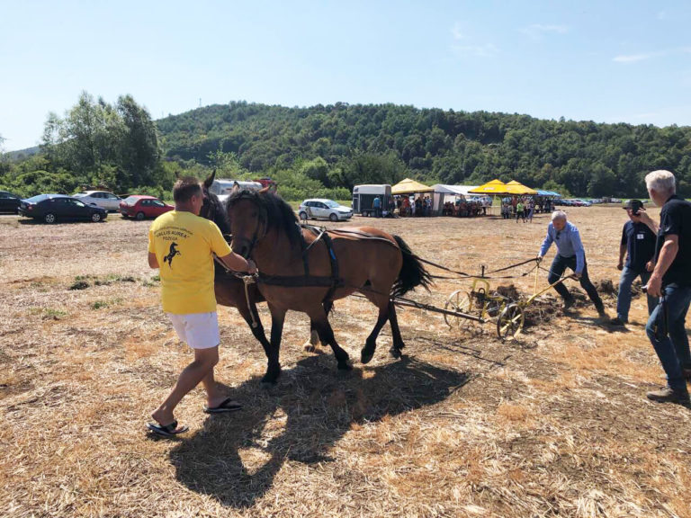 PLETERNICA 15. Natjecanje u oranju Požeško-slavonske županije