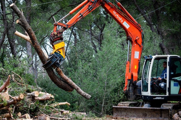 Najavljena sječa više od tisuću stabala i pošumljavanje Marjana sa 16.000 stabala