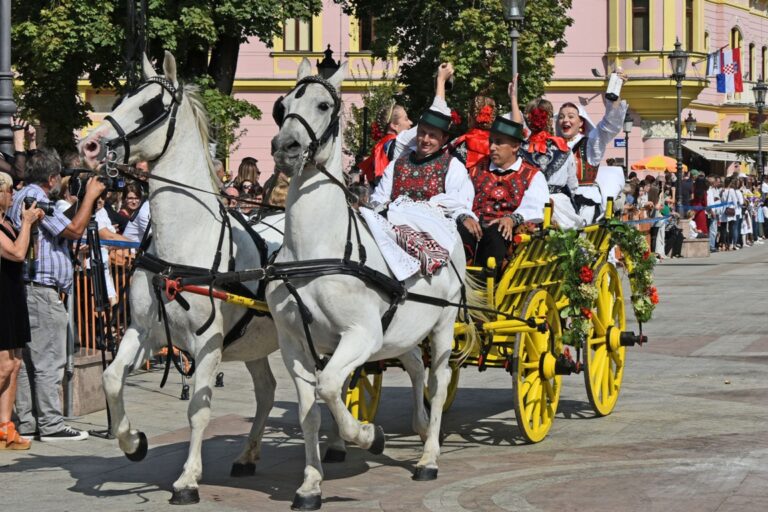 Svečanim mimohodom završile 55. vinkovačke jeseni