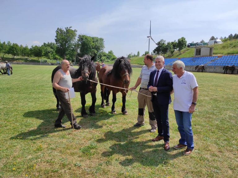 Svečano otvorena 8. Smotra konja Krivi Put 2021.