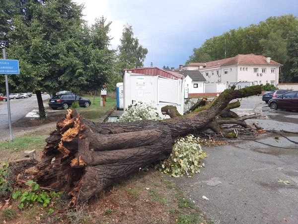 Jako nevrijeme u Glini i Petrinji, vjetar čupao stabla, oštećene kuće…