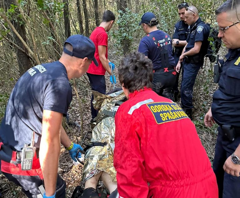 HGSS objavio detalje velike potrage za aktivistom Aleksejem Orelom