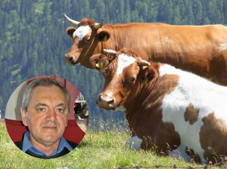 Predsjednik HDZ-a Karlobag uhićen zbog trovanja hrane kravama